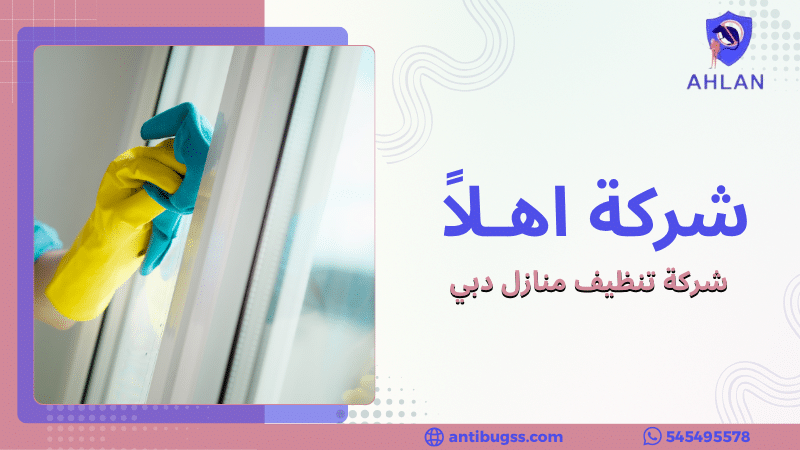 شركة تنظيف منازل دبي