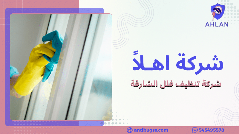 شركة تنظيف فلل الشارقة