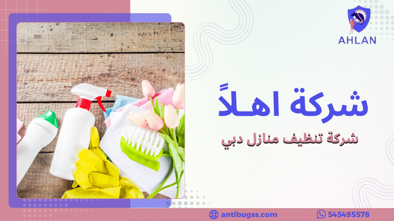 شركة تنظيف منازل دبي
