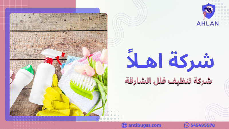 شركة تنظيف فلل الشارقة