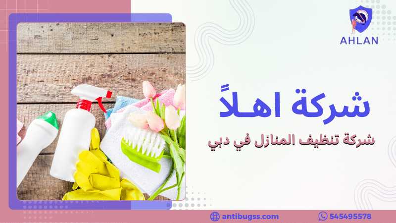 شركة تنظيف المنازل في دبي
