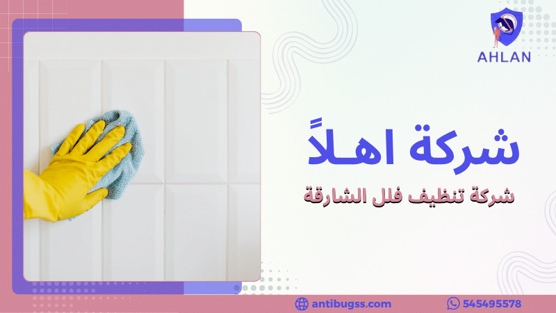 شركة تنظيف فلل الشارقة