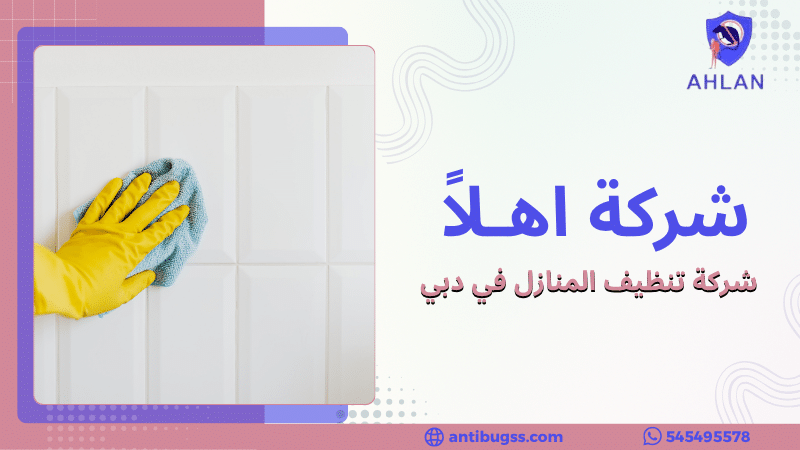 شركة تنظيف المنازل في دبي