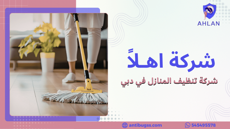 شركة تنظيف المنازل في دبي