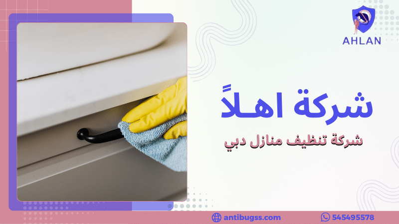 شركة تنظيف منازل دبي
