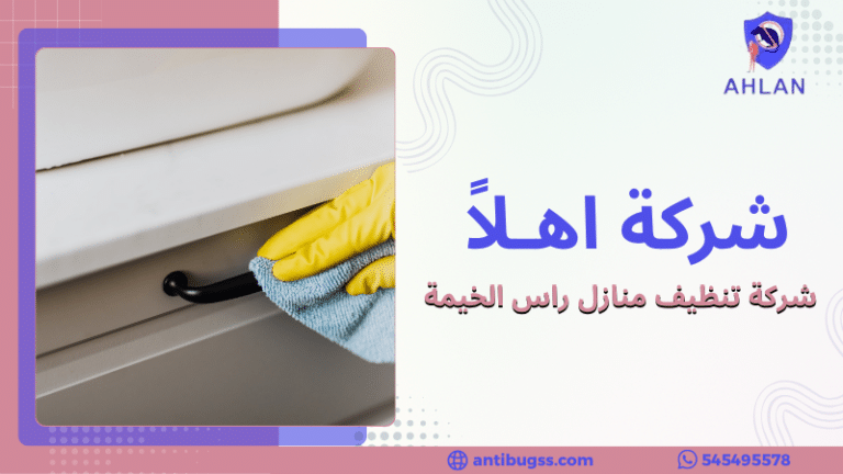 شركة تنظيف منازل راس الخيمة