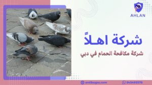 شركة تركيب سلك حمام في دبي