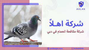 شركة تركيب سلك حمام في دبي