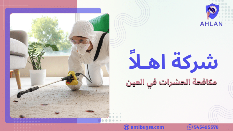 مكافحة الحشرات في العين