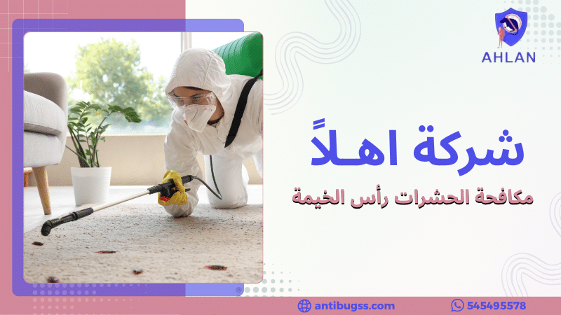 مكافحة الحشرات رأس الخيمة