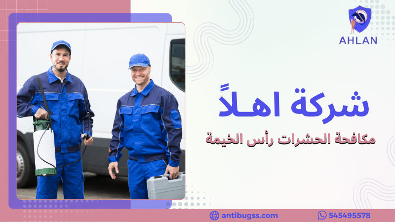 مكافحة الحشرات رأس الخيمة