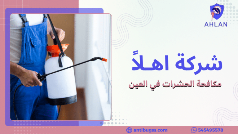 مكافحة الحشرات في العين