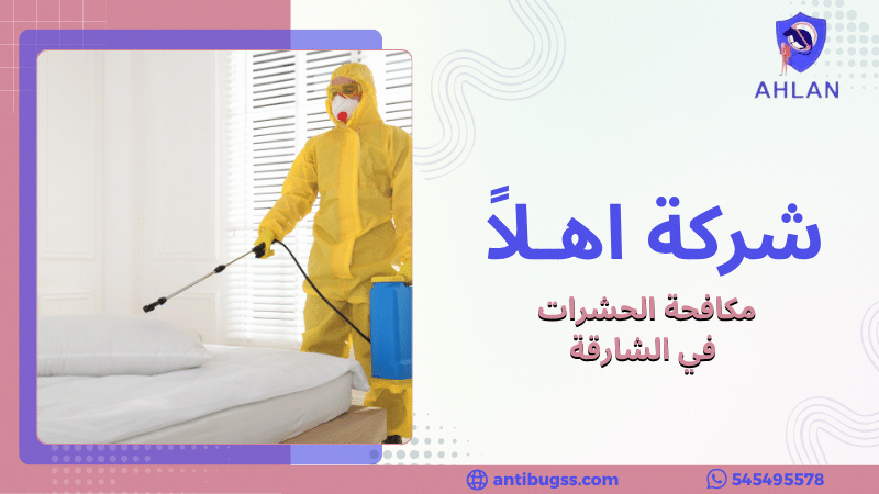 مكافحة الحشرات في الشارقة