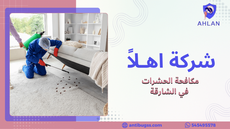 مكافحة الحشرات في الشارقة