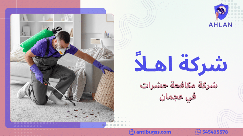 شركة مكافحة حشرات في عجمان