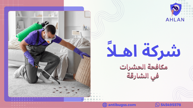 مكافحة الحشرات في الشارقة