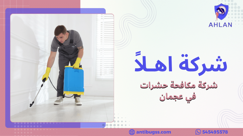 شركة مكافحة حشرات في عجمان