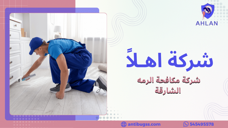 شركة مكافحة الرمه الشارقة