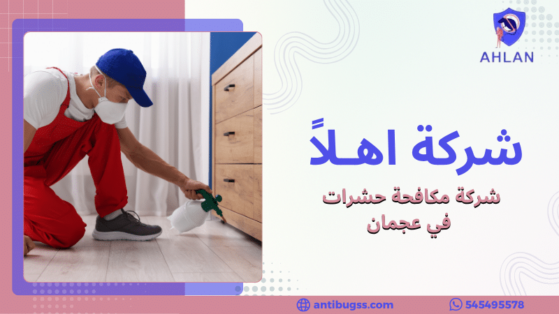 شركة مكافحة حشرات في عجمان