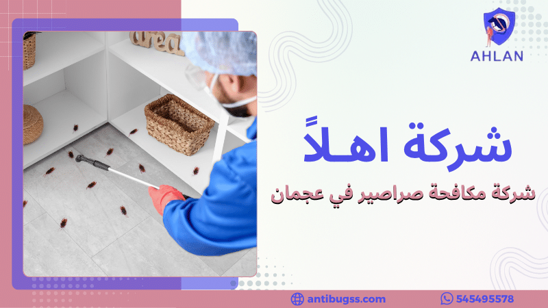شركة مكافحة صراصير في عجمان