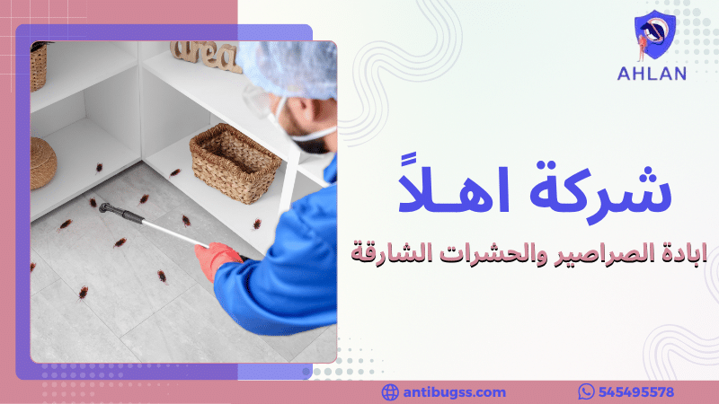 ابادة الصراصير والحشرات الشارقة
