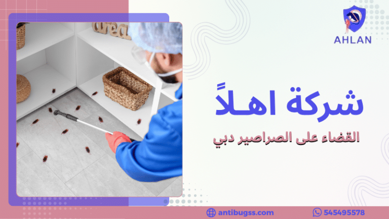 القضاء على الصراصير دبي