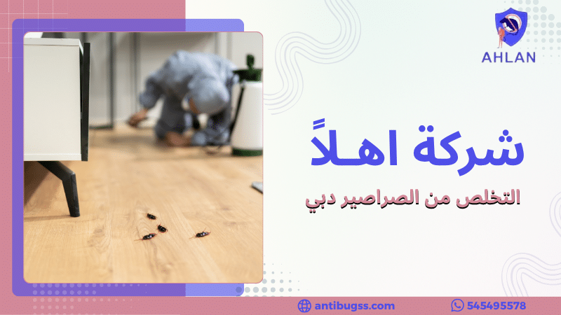 التخلص من الصراصير دبي