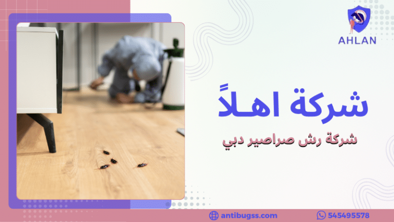 شركة رش صراصير دبي