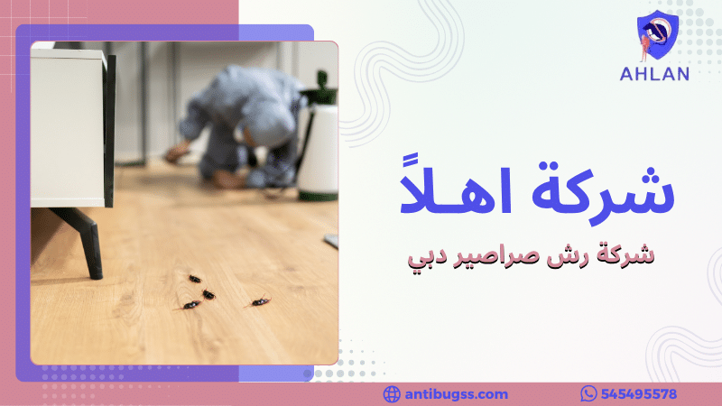 شركة رش صراصير دبي