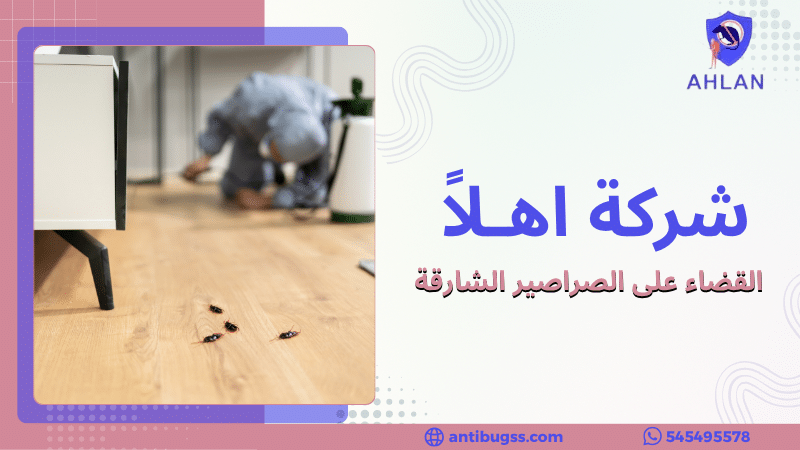 القضاء على الصراصير الشارقة