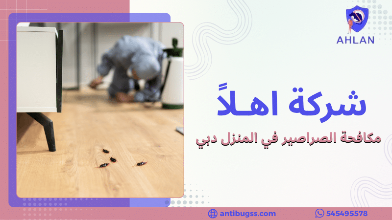 مكافحة الصراصير في المنزل دبي