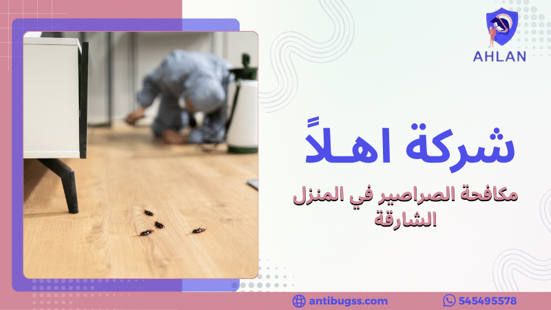 مكافحة الصراصير في المنزل الشارقة