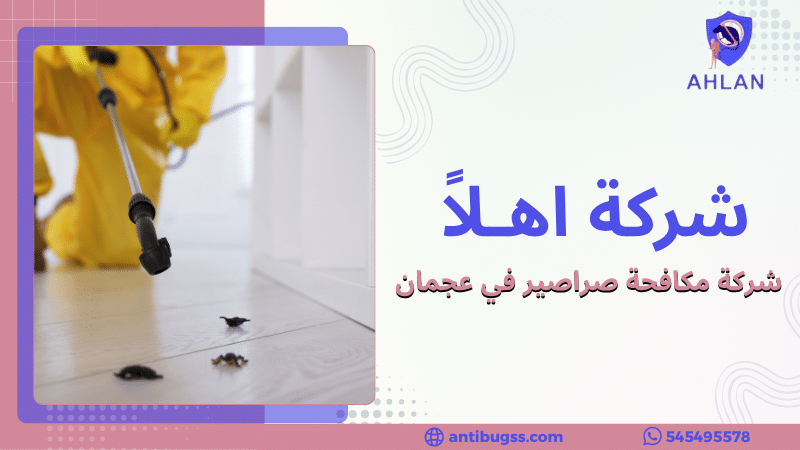 شركة مكافحة صراصير في عجمان