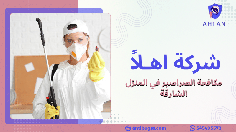 مكافحة الصراصير في المنزل الشارقة
