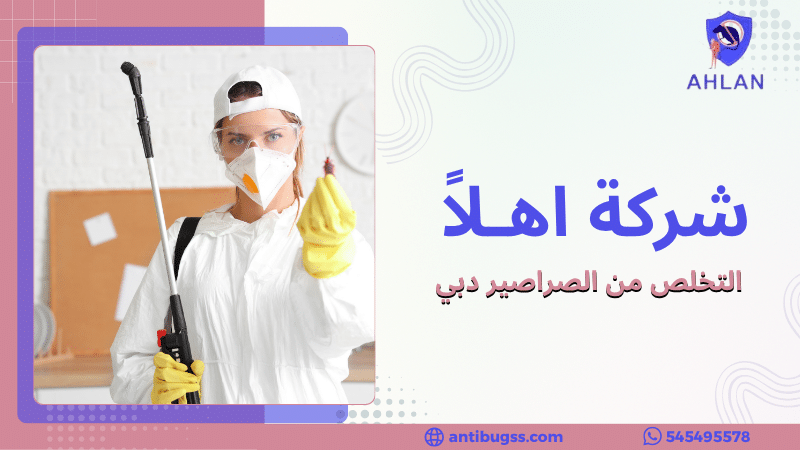 التخلص من الصراصير دبي