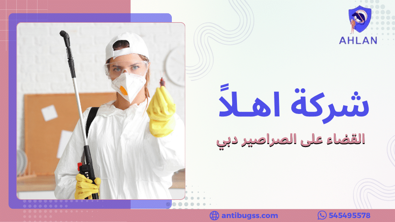 القضاء على الصراصير دبي