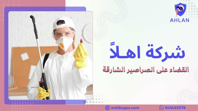 القضاء على الصراصير الشارقة