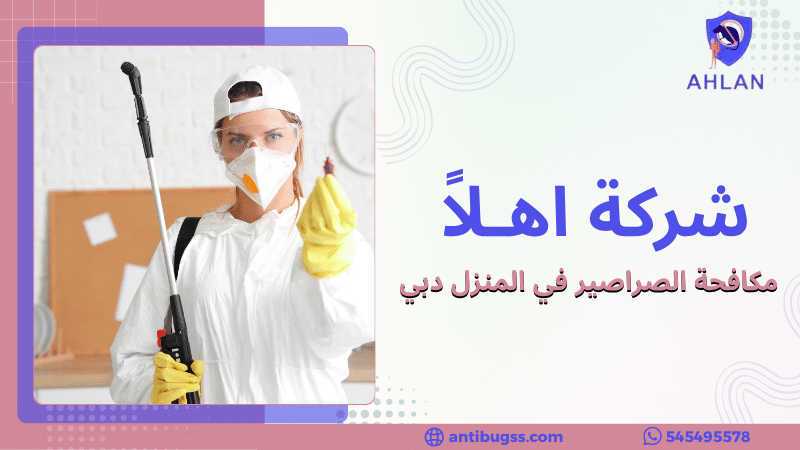مكافحة الصراصير في المنزل دبي