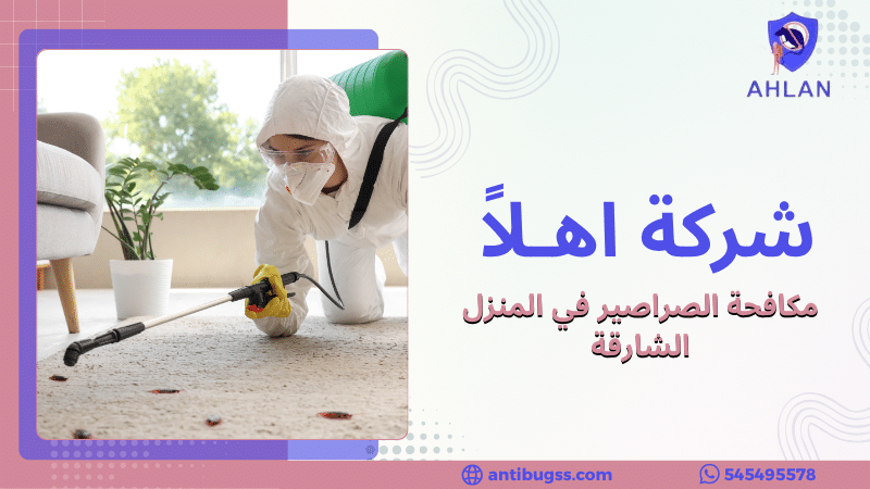 مكافحة الصراصير في المنزل الشارقة