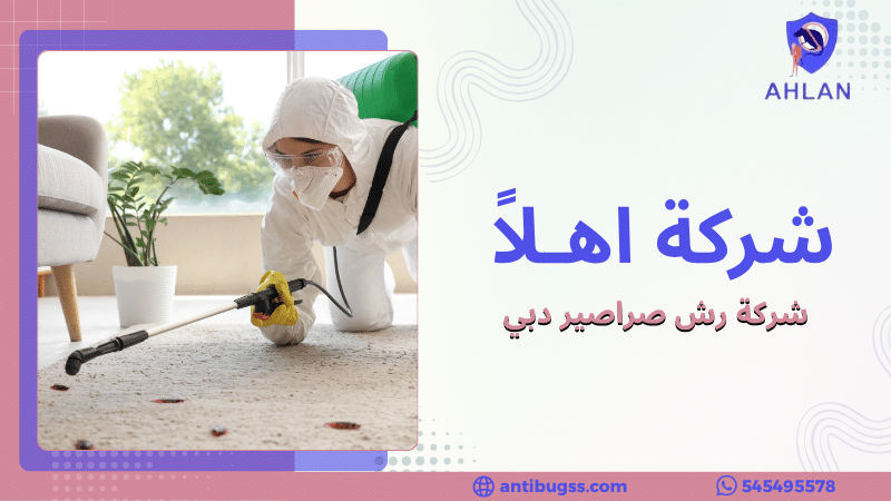 شركة رش صراصير دبي