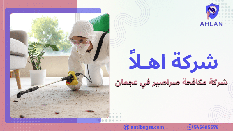 شركة مكافحة صراصير في عجمان