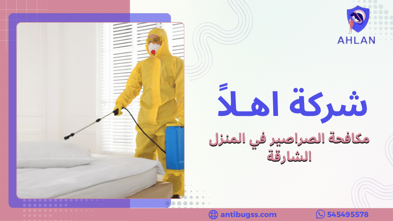 مكافحة الصراصير في المنزل الشارقة