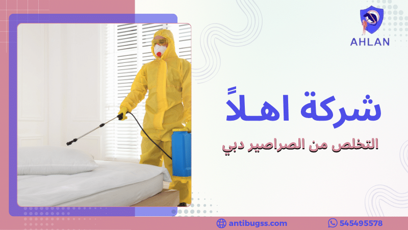 التخلص من الصراصير دبي