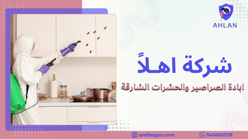 ابادة الصراصير والحشرات الشارقة