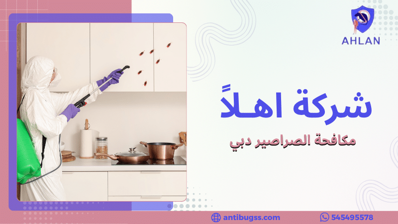 مكافحة الصراصير دبي
