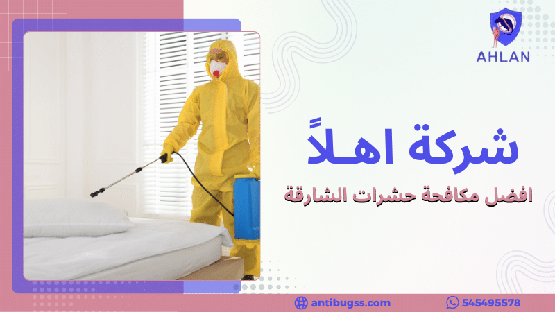 افضل مكافحة حشرات الشارقة