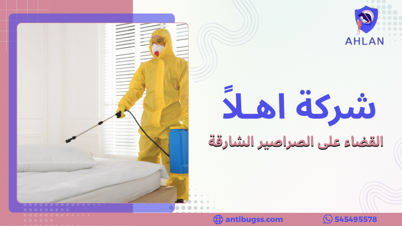 القضاء على الصراصير الشارقة