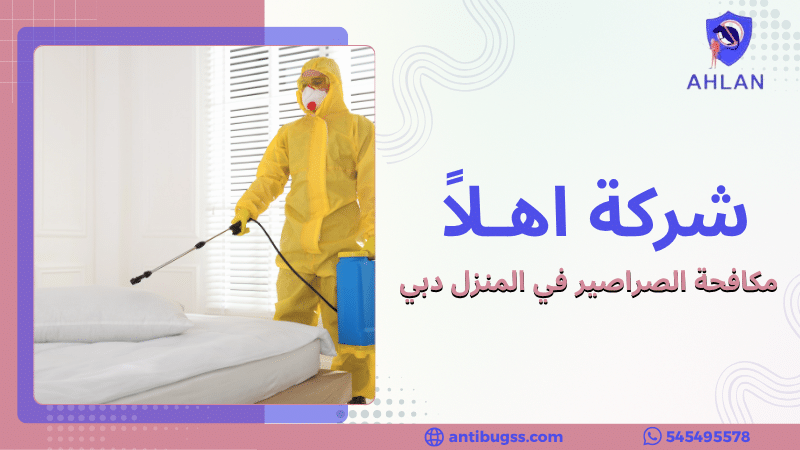 مكافحة الصراصير في المنزل دبي