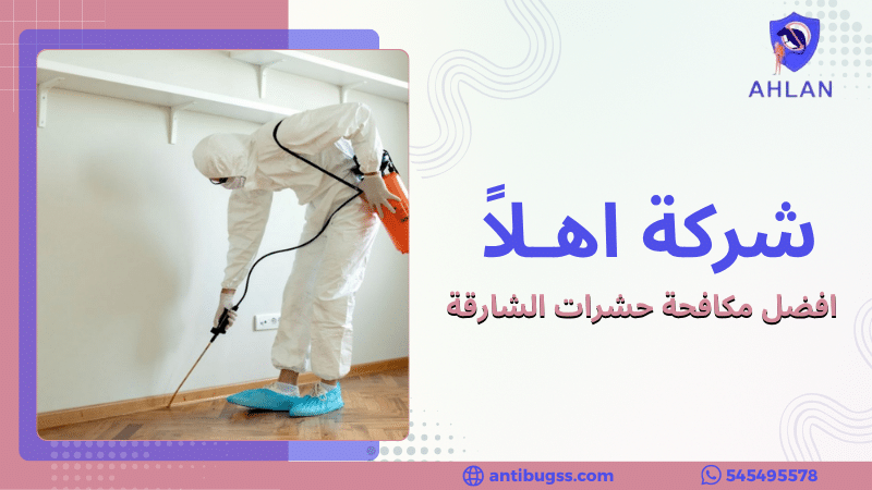 افضل مكافحة حشرات الشارقة