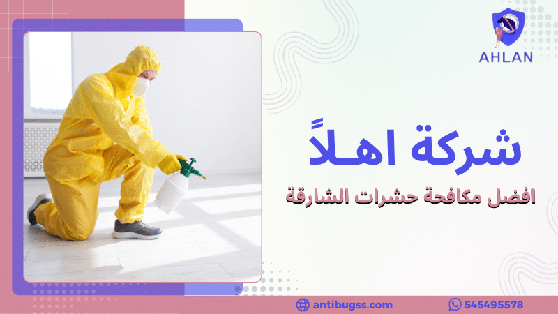 افضل مكافحة حشرات الشارقة